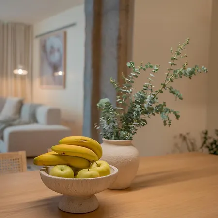 Sao Victor Residences - 1 Presidential Garden With Private Pool * Porto